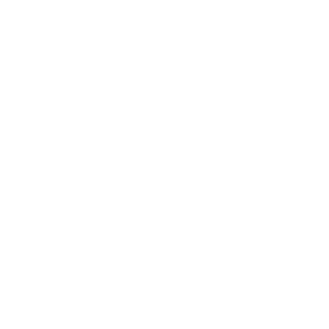 professional-services